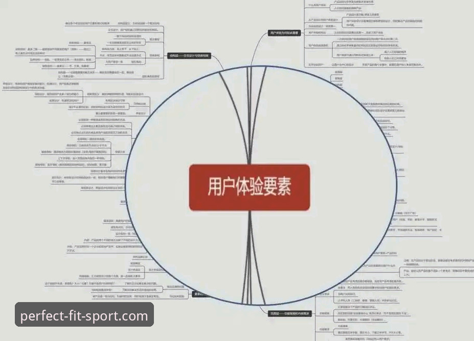 2024年完美体育官网入口深度评测：从用户体验到技术架构的全面解析