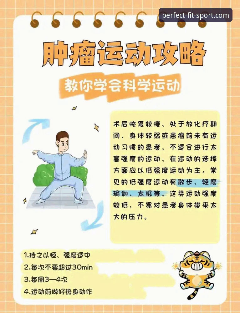 完美体育官方网站入口对比：哪个版本更适合你？——从APP下载到极速版选择的全面分析